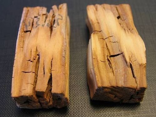 Защита деревянных конструкций от гниения